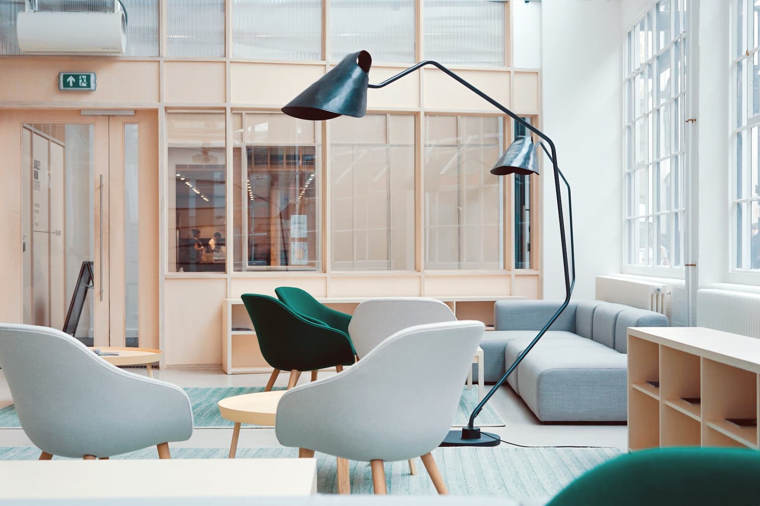 Bright, plant-filled office lounge with modern chairs