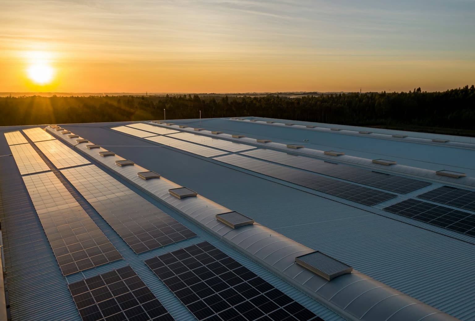 Rows of rooftop solar panels at sunrise