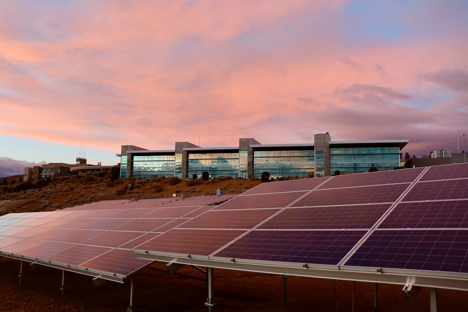 Solar panels in front of a modern building under a pink evening sky